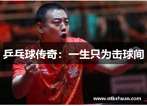 乒乓球传奇：一生只为击球间